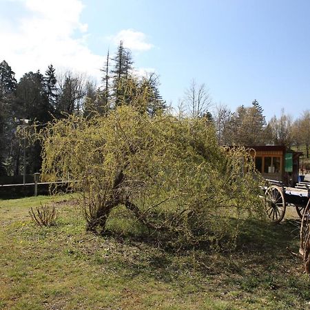 Le Veymont Villa Saint-Martin-en-Vercors ภายนอก รูปภาพ