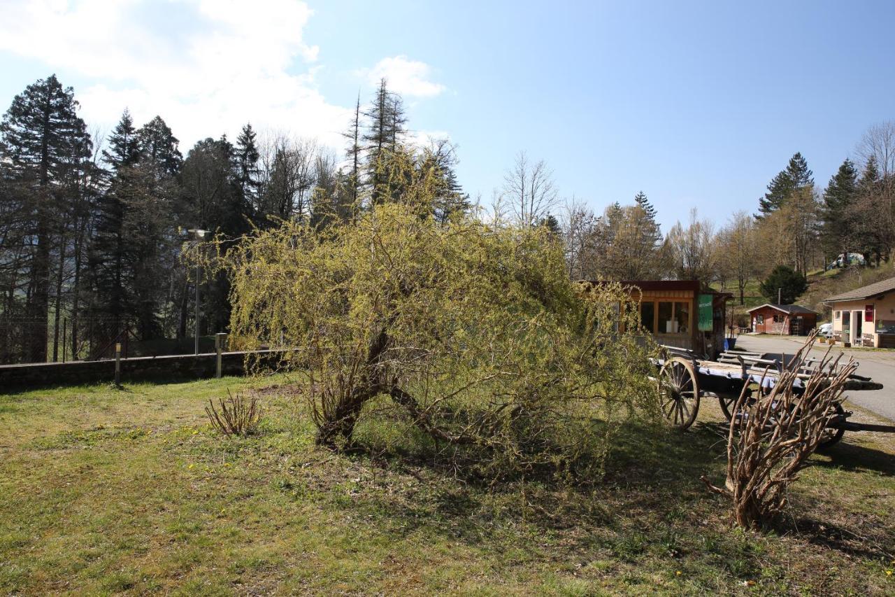 Le Veymont Villa Saint-Martin-en-Vercors ภายนอก รูปภาพ